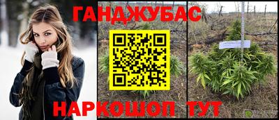 прущие грибы Обь