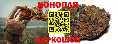 индика Нягань