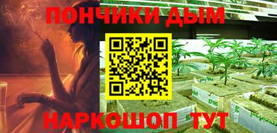 индика Нягань