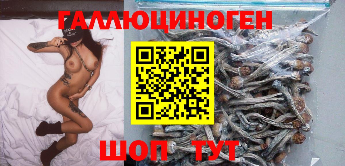Галлюциногенные грибы прущие грибы Саратов