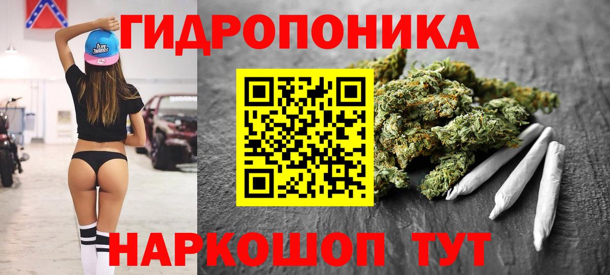 Канабис гибрид Саратов